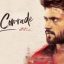 Dear Comrade Box Office Collection Report Hit or Flop?, Worldwide, AP&TS – Telugu Action Drama Movie 2019
