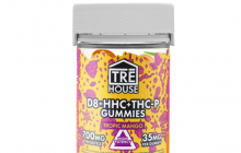 How Have HHC Gummies Become A Trend In The Fashion Industry?